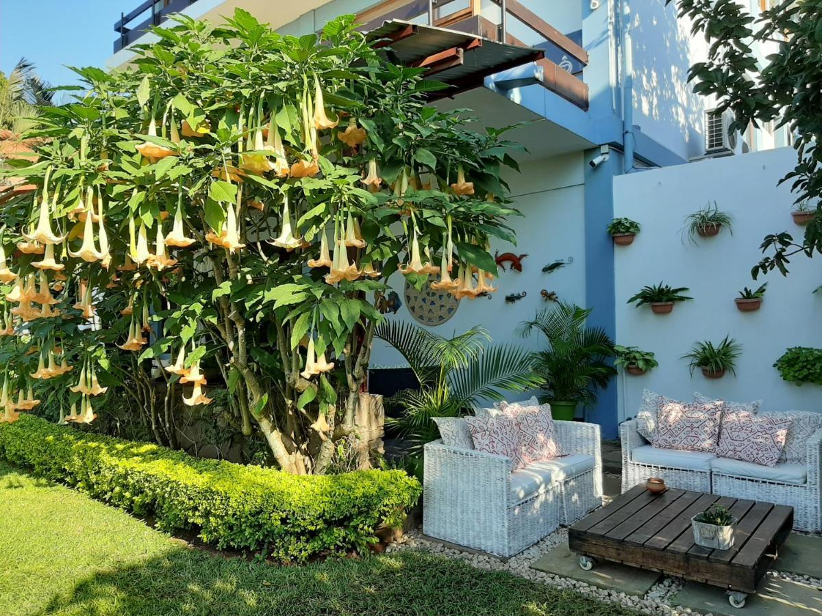 Figtree Guesthouse Maputo Eksteriør bilde