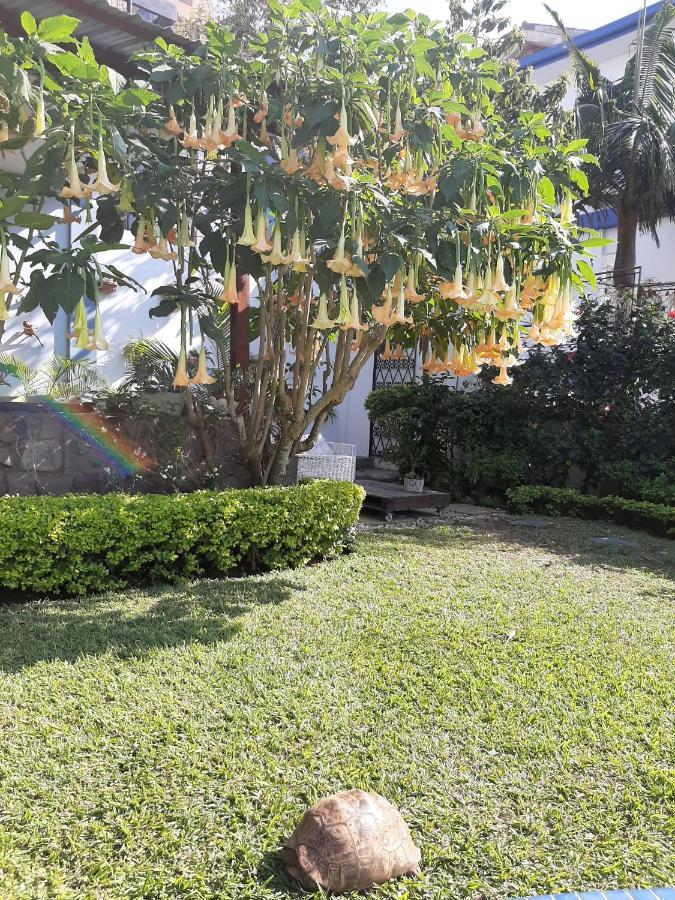 Figtree Guesthouse Maputo Eksteriør bilde