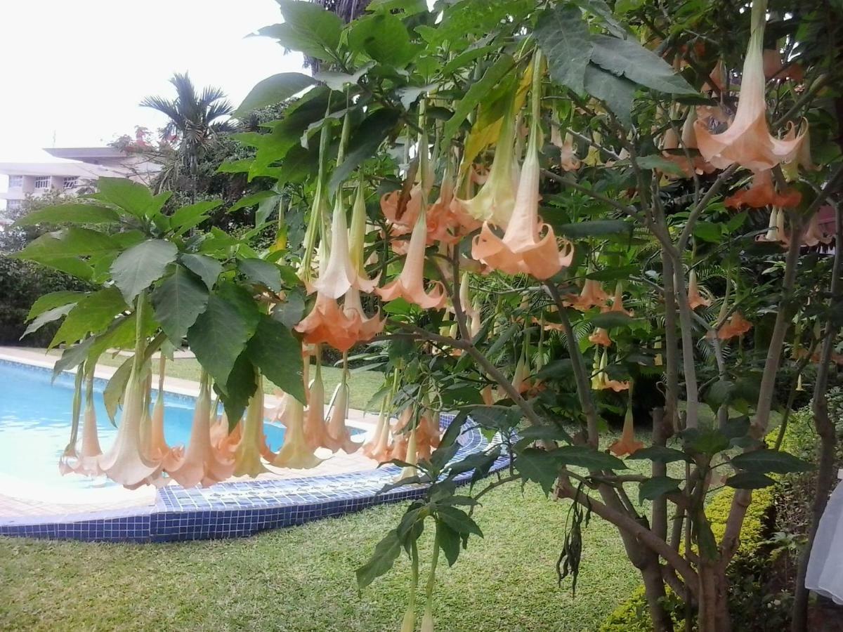 Figtree Guesthouse Maputo Eksteriør bilde