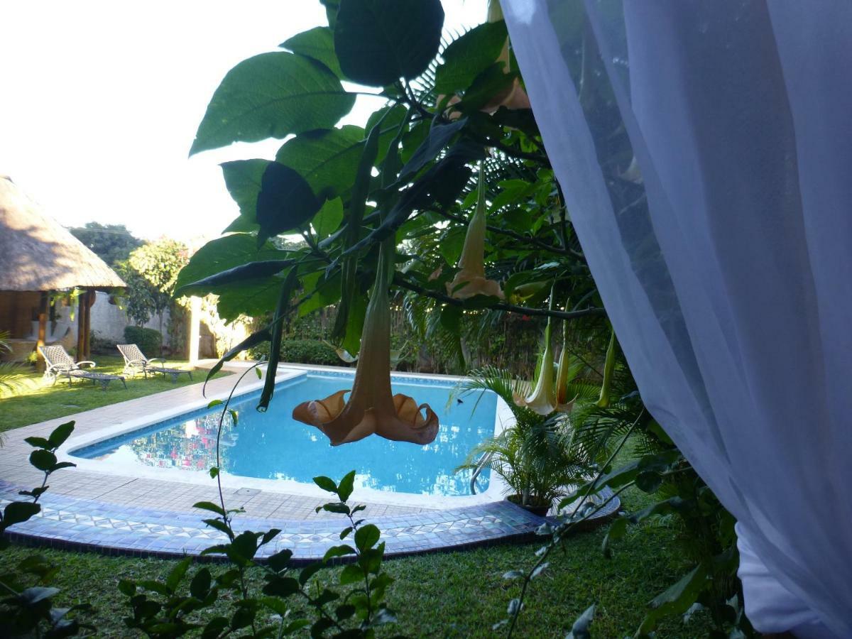 Figtree Guesthouse Maputo Eksteriør bilde
